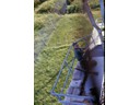 Stairways covered