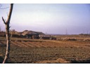 Mud brick houses