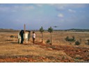 Locals ignoring C-130 landing