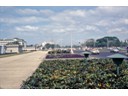 Gardens along Roxas Boulevard