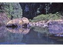 Large rocks in river