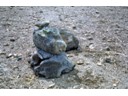 Pumice rocks are light weight (solidified foam with numerous trapped gas bubbles making them less dense)