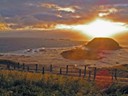Phillip Island