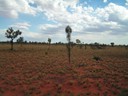 Uluru National Park Area