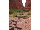 Olga Gorge Hiking