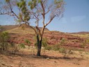 Finke Gorge National Park