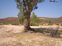 Finke Gorge National Park