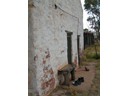 Old Mission