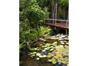 Foyer Pond