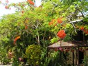 Radisson Treetops Resort