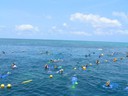 Snorkelling