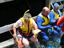 Pat Snorkelling