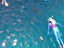 Snorkelling