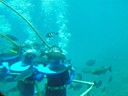 Oceanwalkers