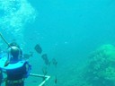 Oceanwalkers