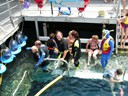 Howard going Oceanwalking