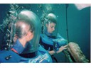 Under the Sea