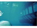 Underwater Observatory