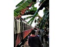 Boarding