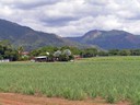 Trip to Kuranda Station