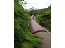 Kuranda Station