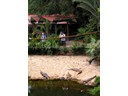 Koala Gardens