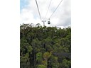 Skyrail