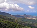 Coral Sea Coast