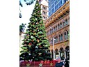 Queen Victoria Building