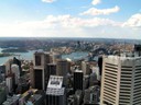 Sydney Tower view