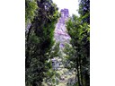 Walkway trail