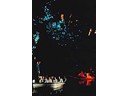 Waitomo Glow Worm Grotto Cave
