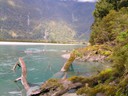 Haast River Safari Jet Boat