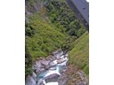 Haast River Area