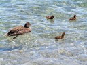 Lake Hawea