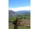 Arrowtown Area