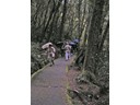 Road to Milford Sound