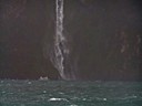 Milford Sound Cruise