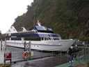 Milford Sound Cruise