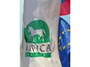 Lipica Stud Farm Flag