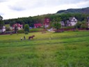 Farming with horses