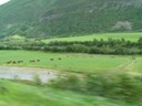 Dairy Farm
