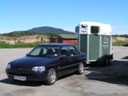 Little car pulling horse trailer