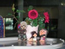 Trolls on our Tour Bus