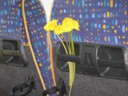 Birthday flowers for one of the lady travelers