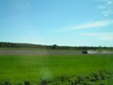Farming