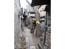 Narrow Alleys