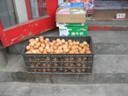 Egg delivery