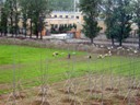 Rural Beijing
