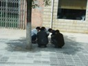 Men playing games